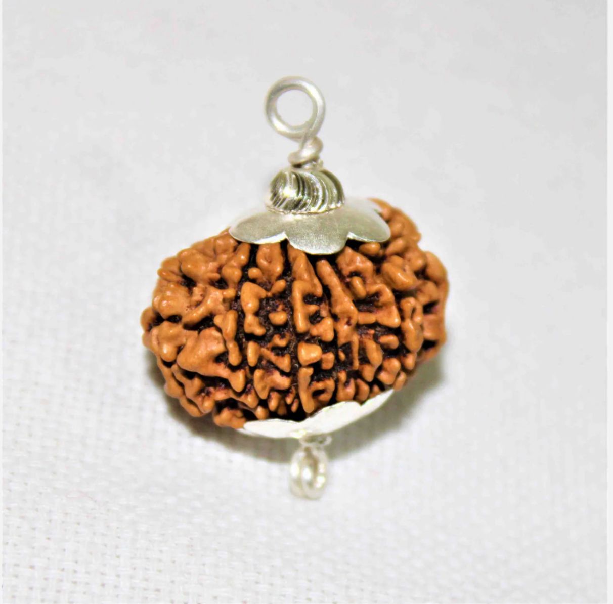 Original 11 Mukhi Rudraksha With Silver Capping ( Nepal )