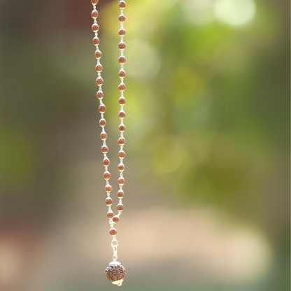 7 Mukhi Nepal Rudraksha in Pure Silver Rudraksha