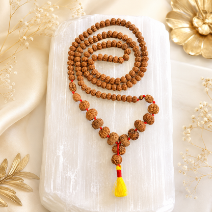 Rudraksha Siddh Mala 1 - 14 Rudraksha ( Nepal )