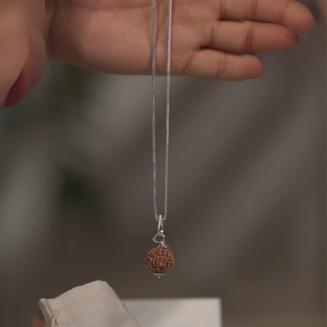 Authentic 7 Mukhi (Seven-faced) Nepal Rudraksha