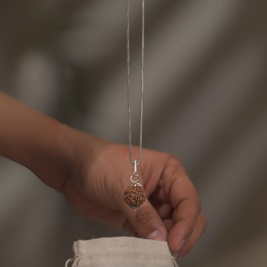 Authentic 10 Mukhi (Ten-faced) Nepal Rudraksha