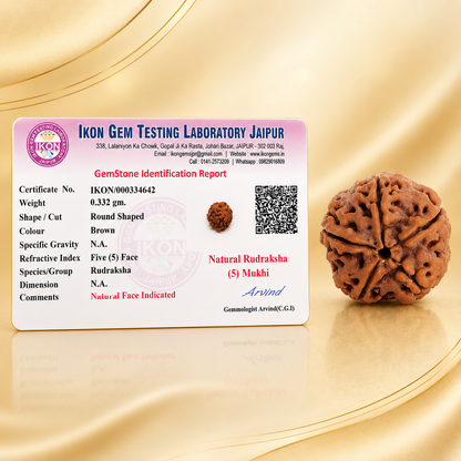 5 Mukhi Natural Rudraksh Kantha Mala
