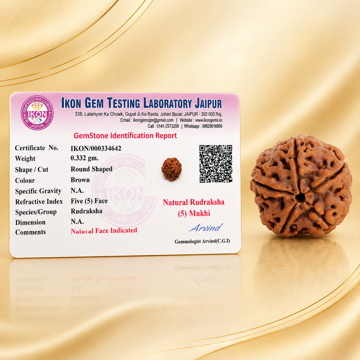 Authentic 5 Mukhi (Five-Faced) Nepal Rudraksha