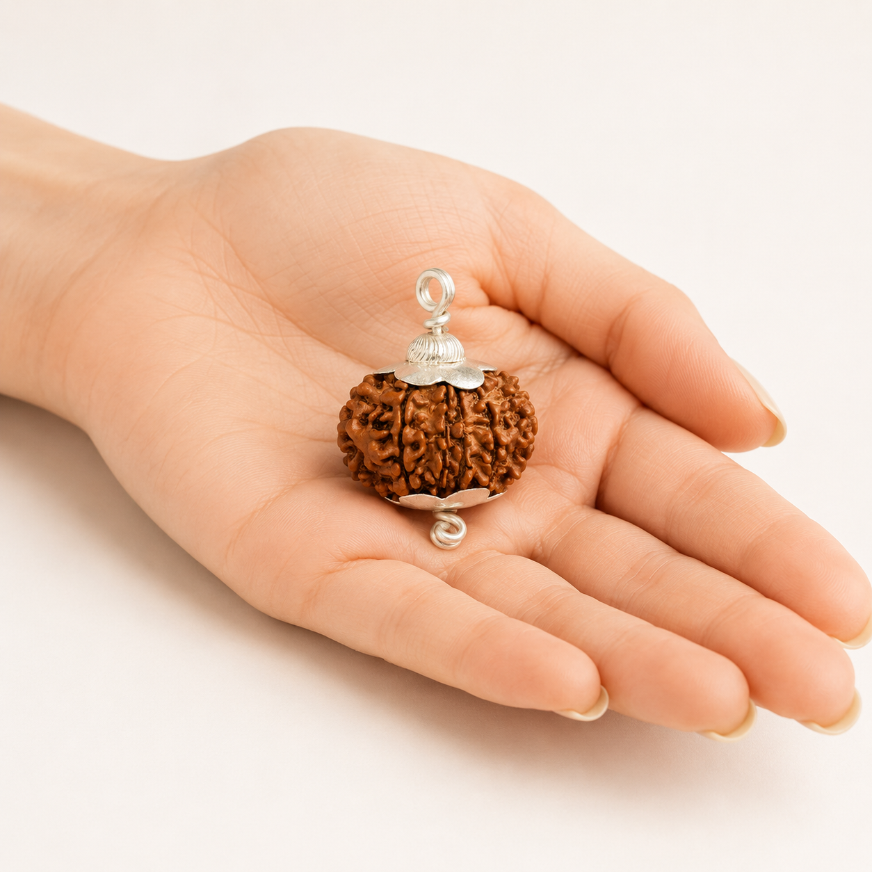 Original 12 Mukhi Rudraksha With Silver Capping