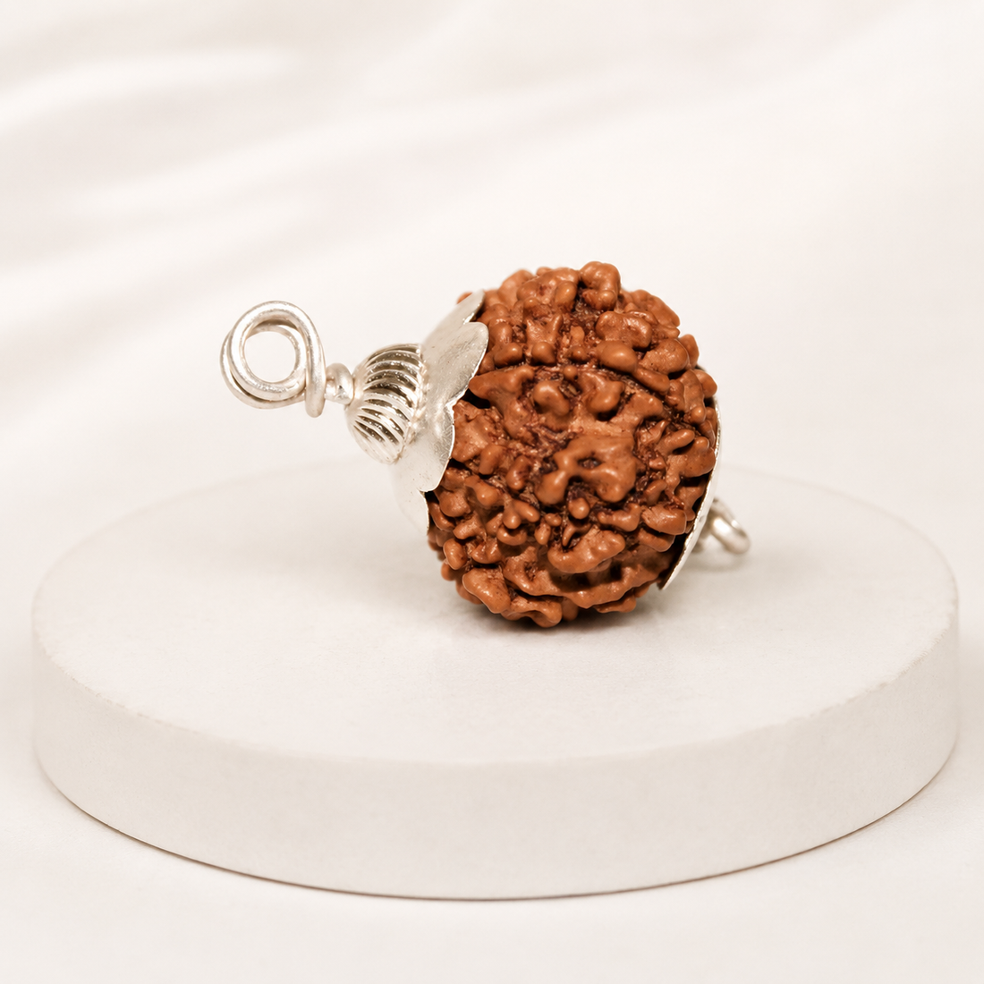 Original 12 Mukhi Rudraksha With Silver Capping