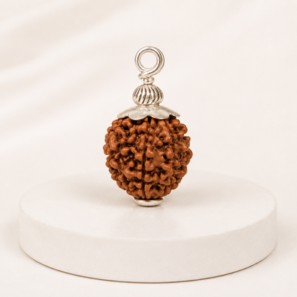 Original 12 Mukhi Rudraksha With Silver Capping