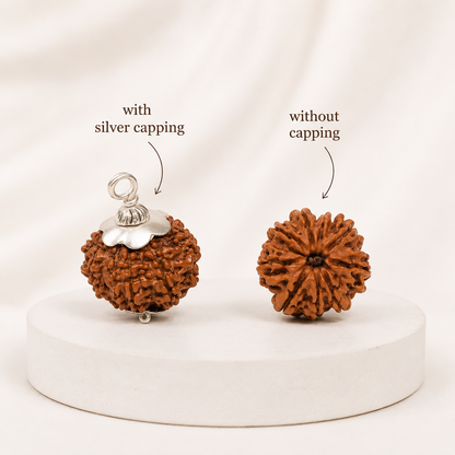 Authentic 9 Mukhi (Nine-faced) Nepal Rudraksha