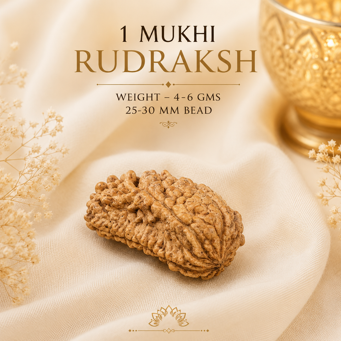Authentic 1 Mukhi (One-faced) Rudraksha