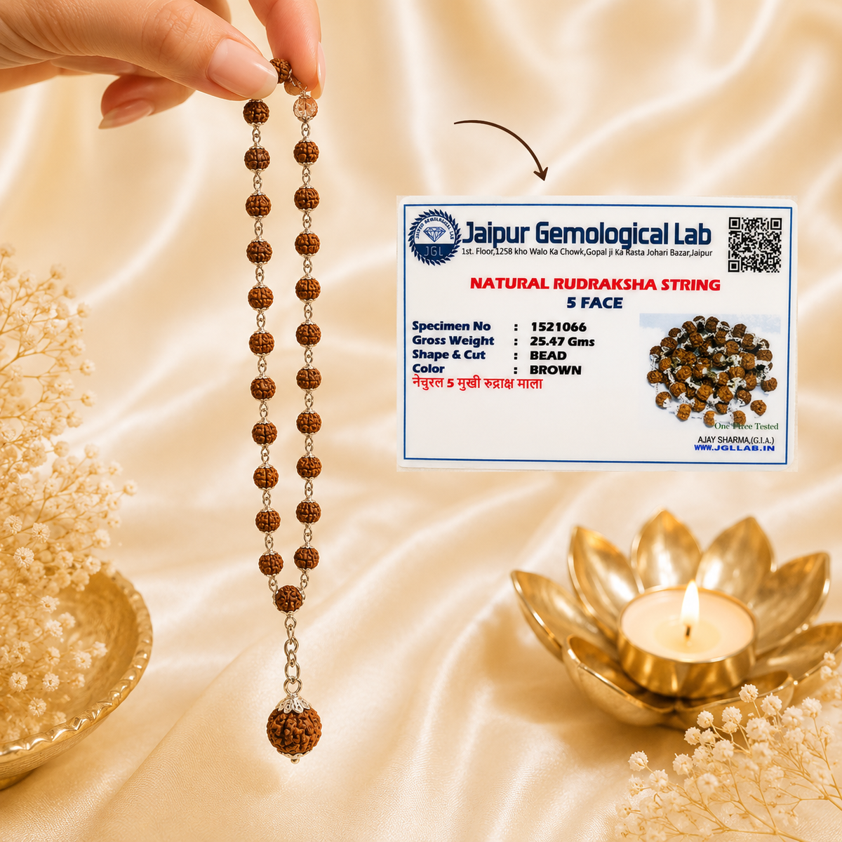 7 Mukhi Nepal Rudraksha in Pure Silver Rudraksha