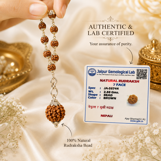 7 Mukhi Nepal Rudraksha in Pure Silver Rudraksha