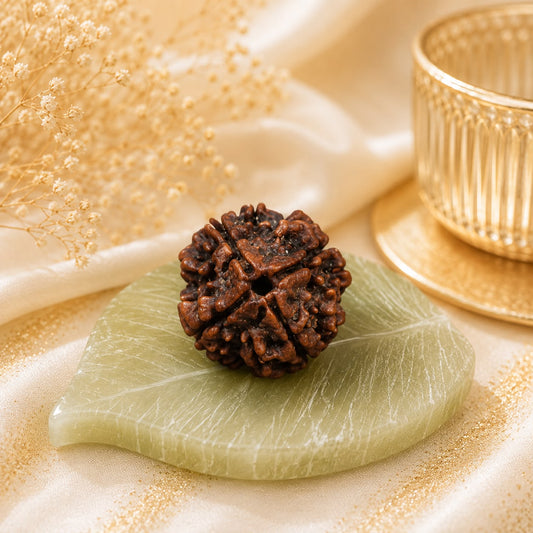 Authentic 4 Mukhi (Four-faced) Rudraksha